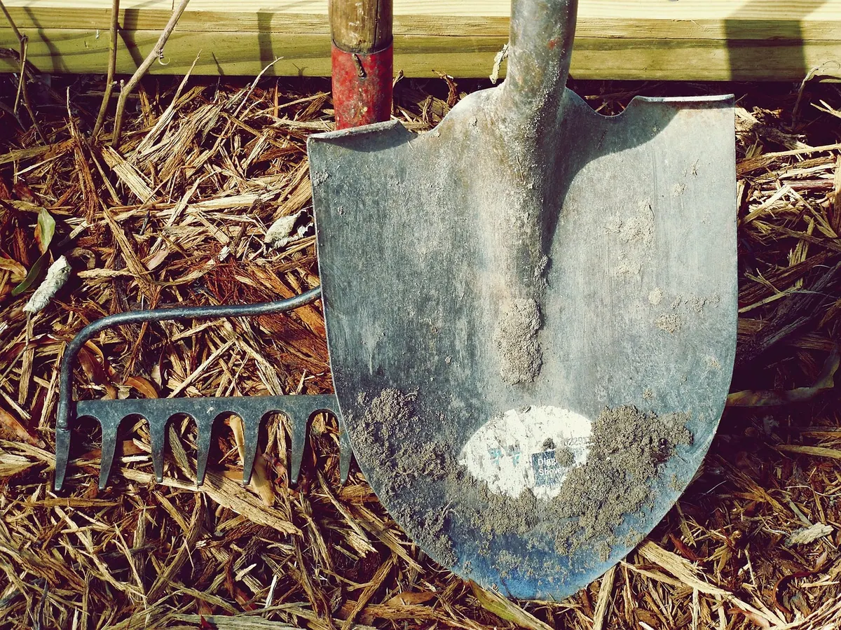 Moss Gardening Starter Kit: The Only Supplies You Actually Need